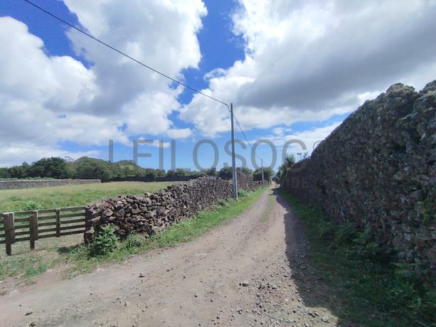 Terreno · Ponta Delgada, Arquipélago dos Açores