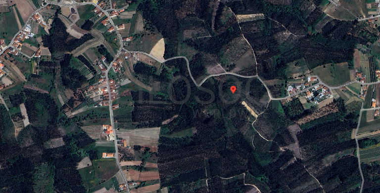 Proporção de 1/6 de Terreno · Cantanhede, Coimbra