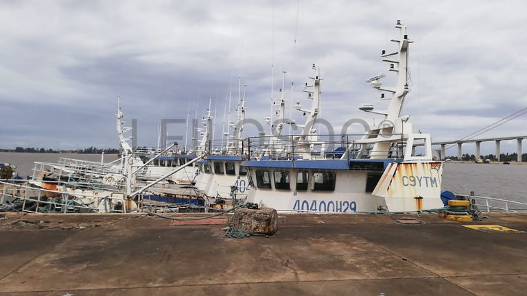 Três Atuneiros | Three Longliners -  ALBACARES VI + PELAMIS I + PELAMIS VI