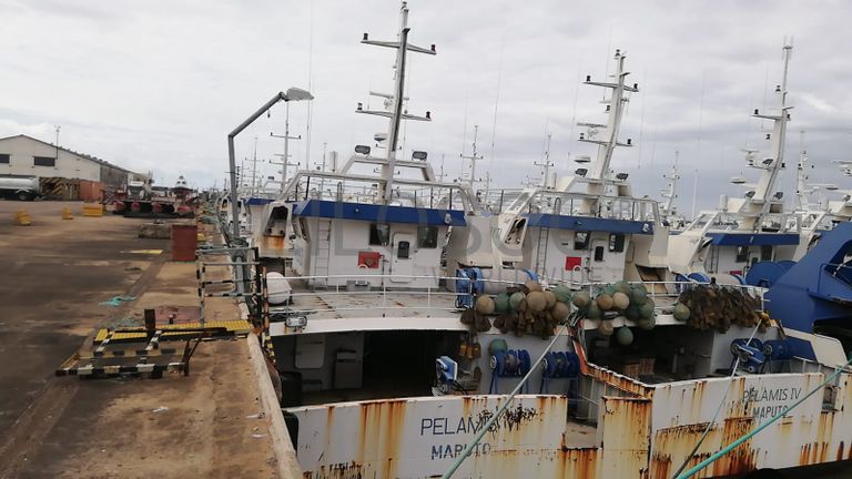 Três Atuneiros | Three Longliners -  ALBACARES VI + PELAMIS I + PELAMIS VI