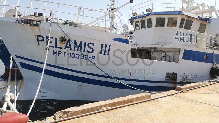 Dois Atuneiros e Um Arrastão | Two Longliners and One Trawler -  ALBACARES VII + PELAMIS III + SARDINHA I