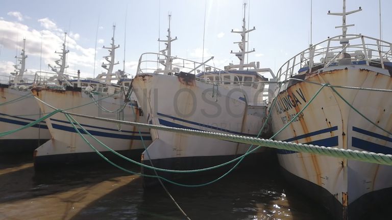 Dois Atuneiros e Um Arrastão | Two Longliners and One Trawler -  ALBACARES VII + PELAMIS III + SARDINHA I