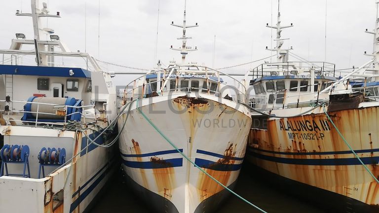 Um Arrastão | One Trawler - SARDINHA III