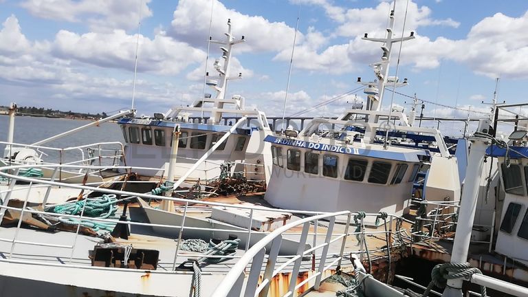 Um Arrastão | One Trawler -  SARDINHA II