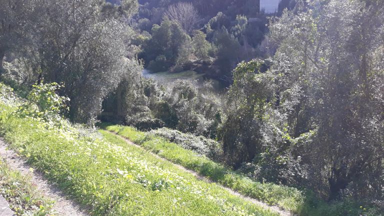 Quinhão Hereditário · Coimbra · Miranda do Corvo