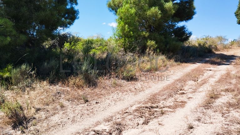 Terreno c/ 2,66 ha · Penamacor, Castelo Branco