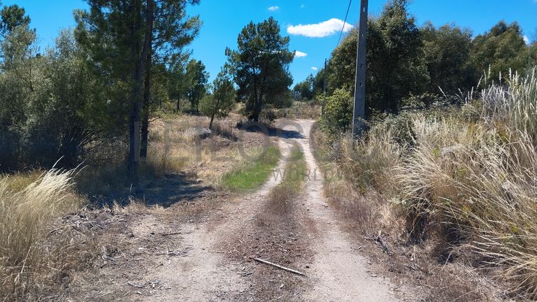 Terreno c/ 2,66 ha · Penamacor, Castelo Branco