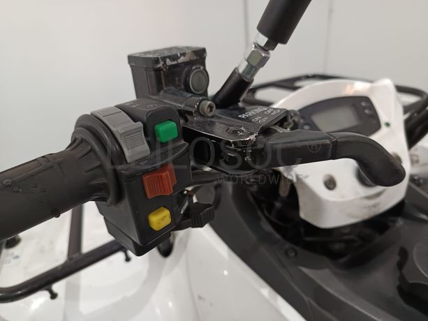 KAWASAKI  KVF300 · Ano 2015