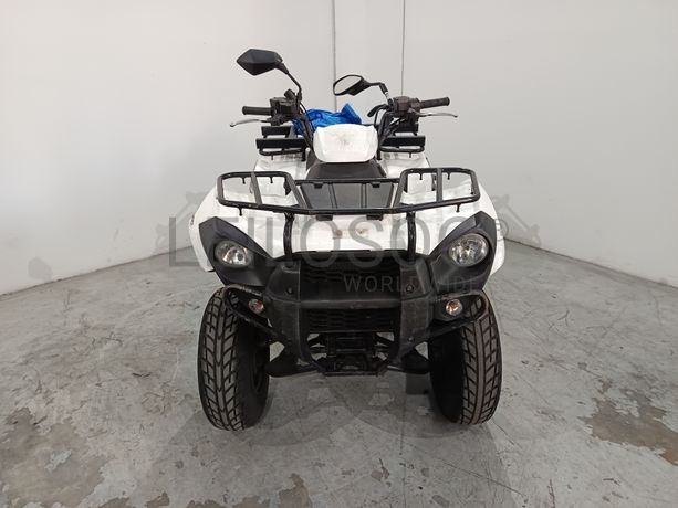 KAWASAKI  KVF300 · Ano 2015