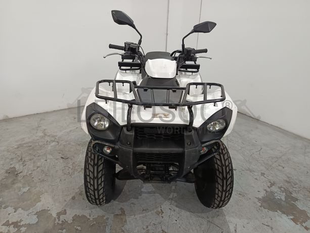 KAWASAKI  KVF300 · Ano 2015