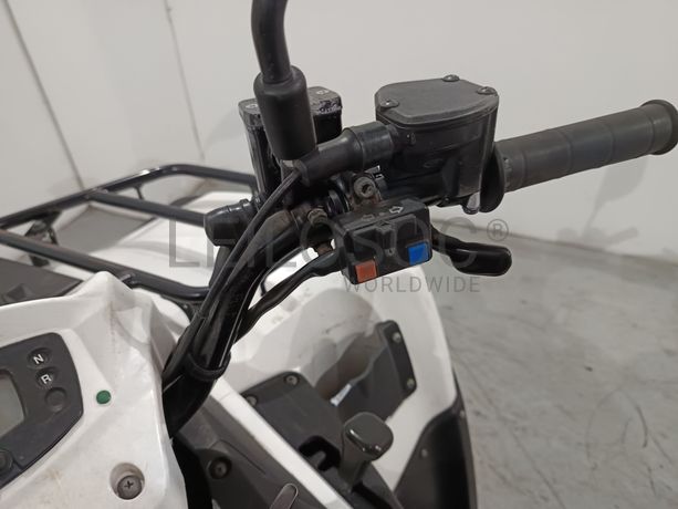 KAWASAKI  KVF300 · Ano 2015