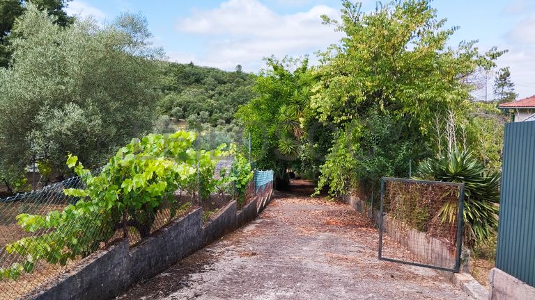 Direito à Meação de Moradia + Terreno · Ferreira do Zêzere, Santarém