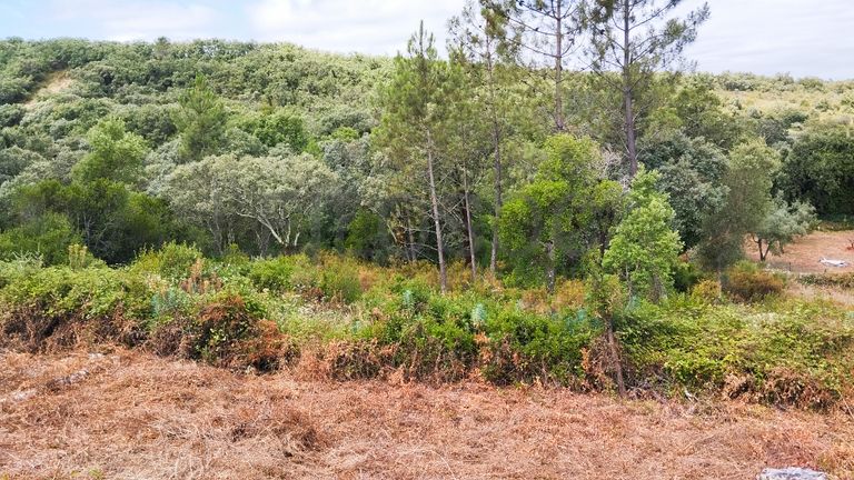 Terreno · Ferreira do Zêzere, Santarém