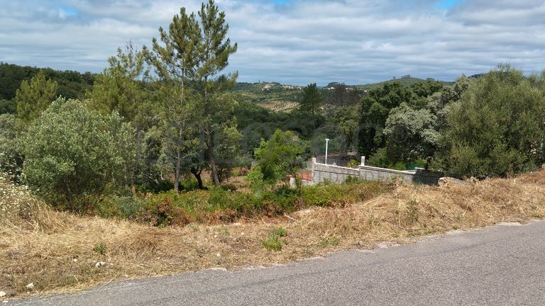 Terreno · Ferreira do Zêzere, Santarém