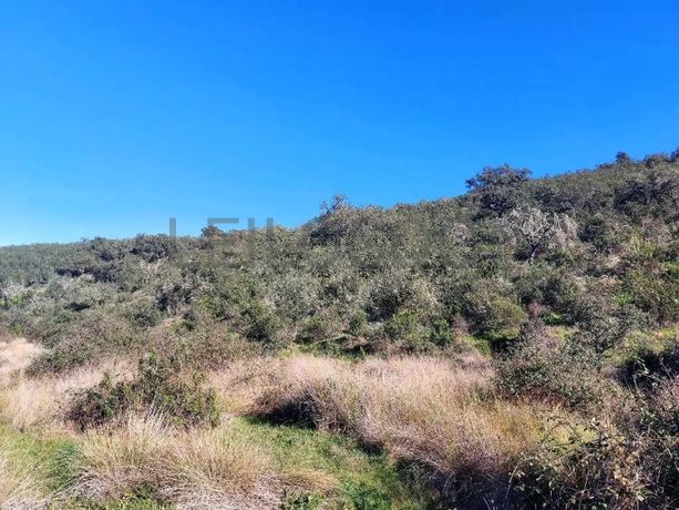 Terreno c/ 10 ha + Edifício (Ruínas) · Mértola, Beja 