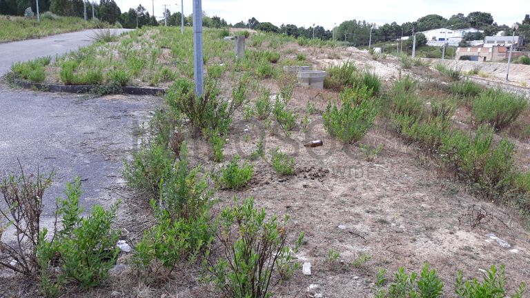 Lote para Construção · Torres Vedras