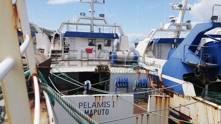 Atuneiro PELAMIS I - Longliner PELAMIS I