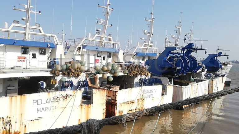 Atuneiro PELAMIS IV - Longliner PELAMIS IV