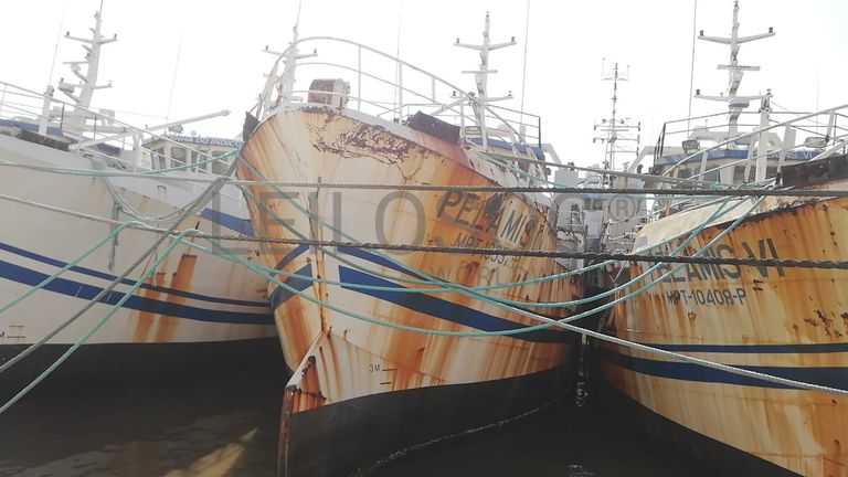 Atuneiro PELAMIS IV - Longliner PELAMIS IV