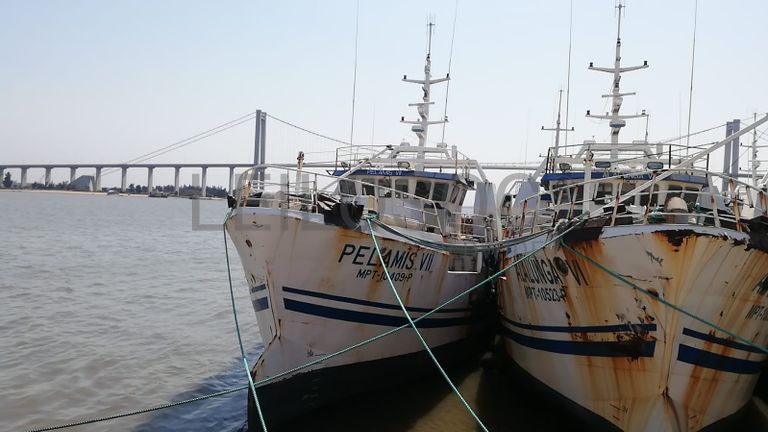 Atuneiro PELAMIS VII - Longliner PELAMIS VII