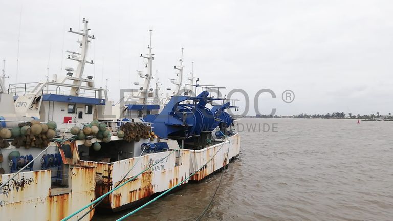 Arrastão | Trawler - SARDINHA do ÍNDICO I