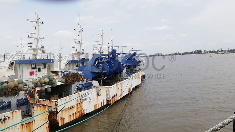 Arrastão | Trawler - SARDINHA do ÍNDICO III