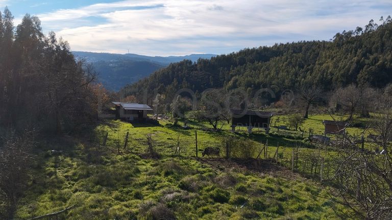 Moradia V3 · São Cristóvão de Lafões, São Pedro do Sul