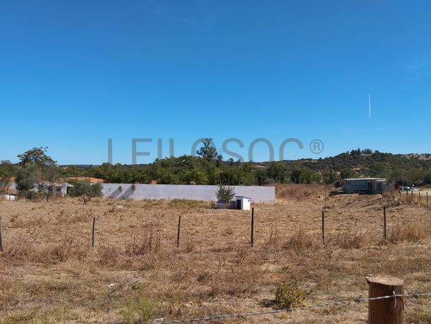 Quinta com 2,4 Hectares · Montemor-o-Novo