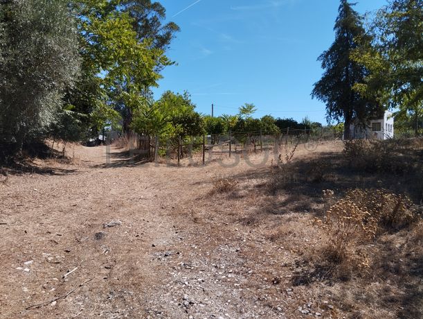 Quinta com 2,4 Hectares · Montemor-o-Novo