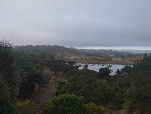 Terreno · Montemor-o-Novo