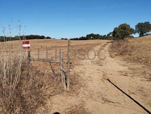 Terreno · Montemor-o-Novo