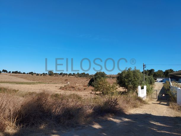 Terreno · Montemor-o-Novo