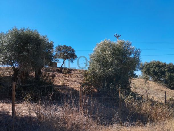 Proporção de 14/24 de Moradia com Terreno com 15,8 hectares · Montemor-o-Novo