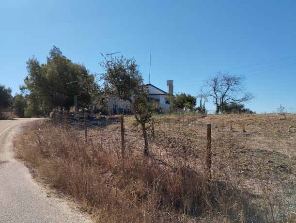 Proporção de 14/24 de Moradia com Terreno com 15,8 hectares · Montemor-o-Novo