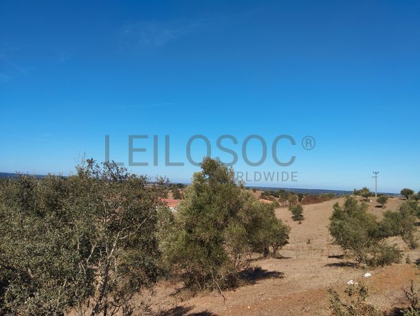 Proporção de 14/24 de Moradia com Terreno com 15,8 hectares · Montemor-o-Novo