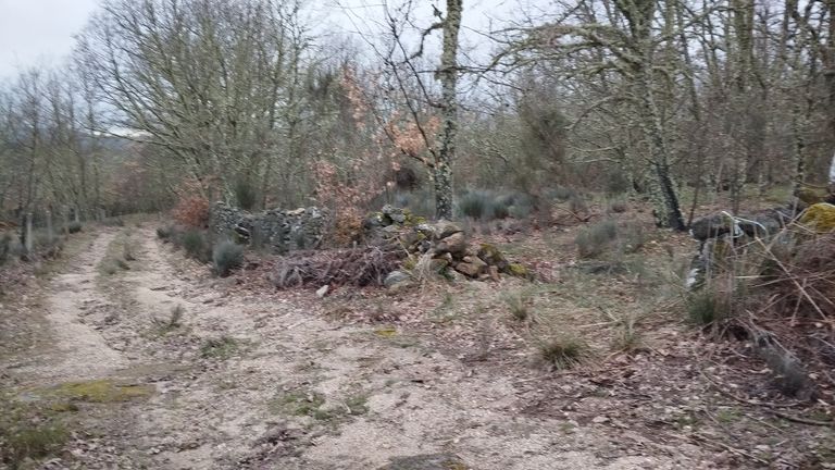 Proporção de 1/2 de Terreno · Aldeia Velha, Sabugal