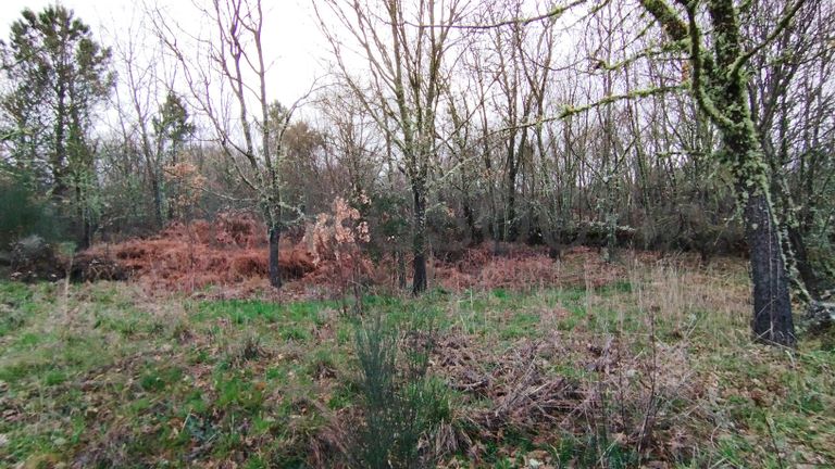 Terreno com 610,00 m² · Aldeia Velha, Sabugal