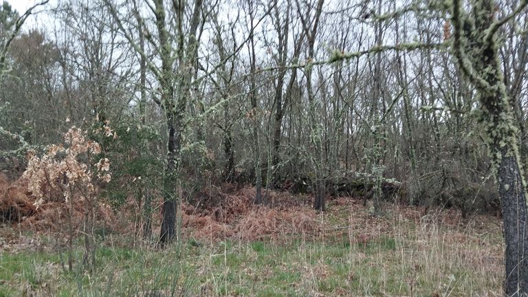 Terreno com 610,00 m² · Aldeia Velha, Sabugal