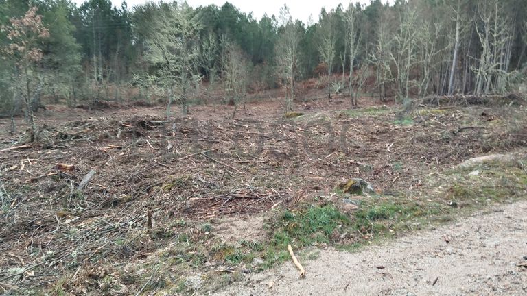 Terreno com 4.980 m² · Aldeia Velha, Sabugal