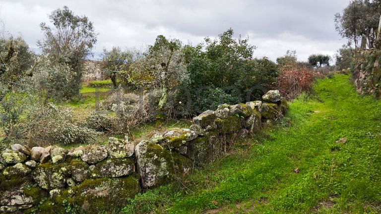 Terreno com 700 m² · Mangualde