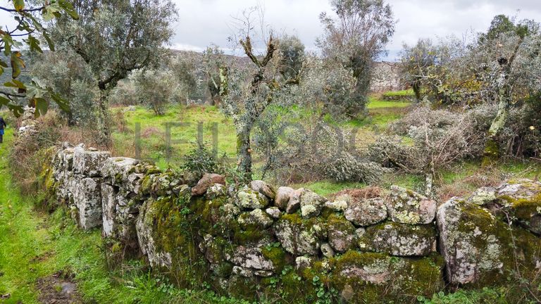 Terreno com 700 m² · Mangualde