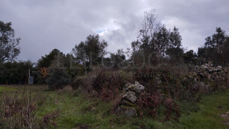 Terreno com 700 m² · Mangualde