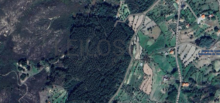 Terreno com 8.750 m² · Mangualde