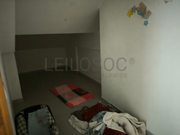 Loja · Amadora
