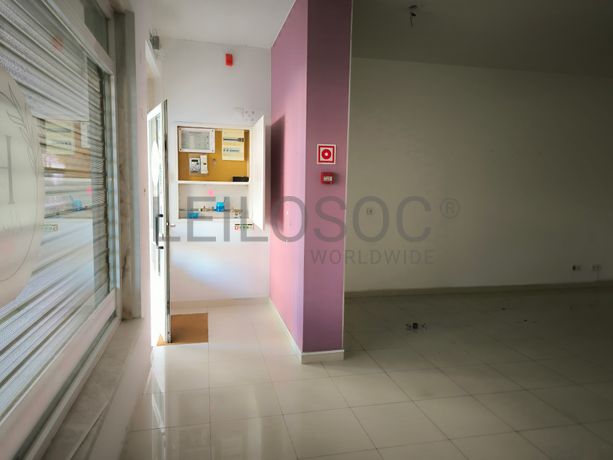 Loja · Amadora