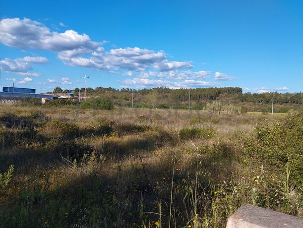 Lote para Construção · Chamusca, Santarém
