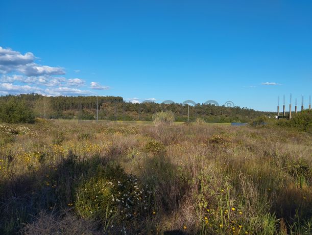 Lote para Construção · Chamusca, Santarém