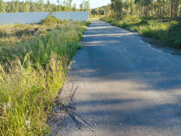 Lote para Construção · Chamusca, Santarém