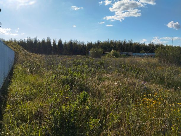 Lote para Construção · Chamusca, Santarém