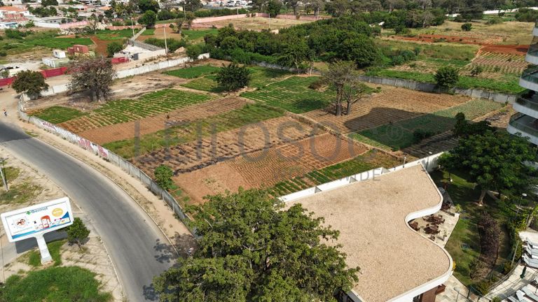 Terreno  – Localização Premium em Talatona, Luanda